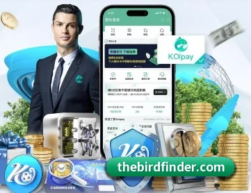 易游体育官方网站 APP 深度功能