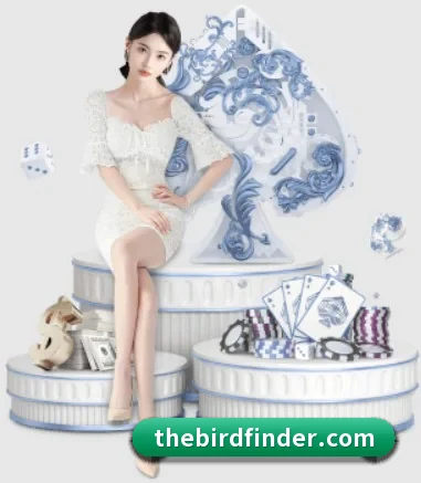 易游体育官方网站 APP